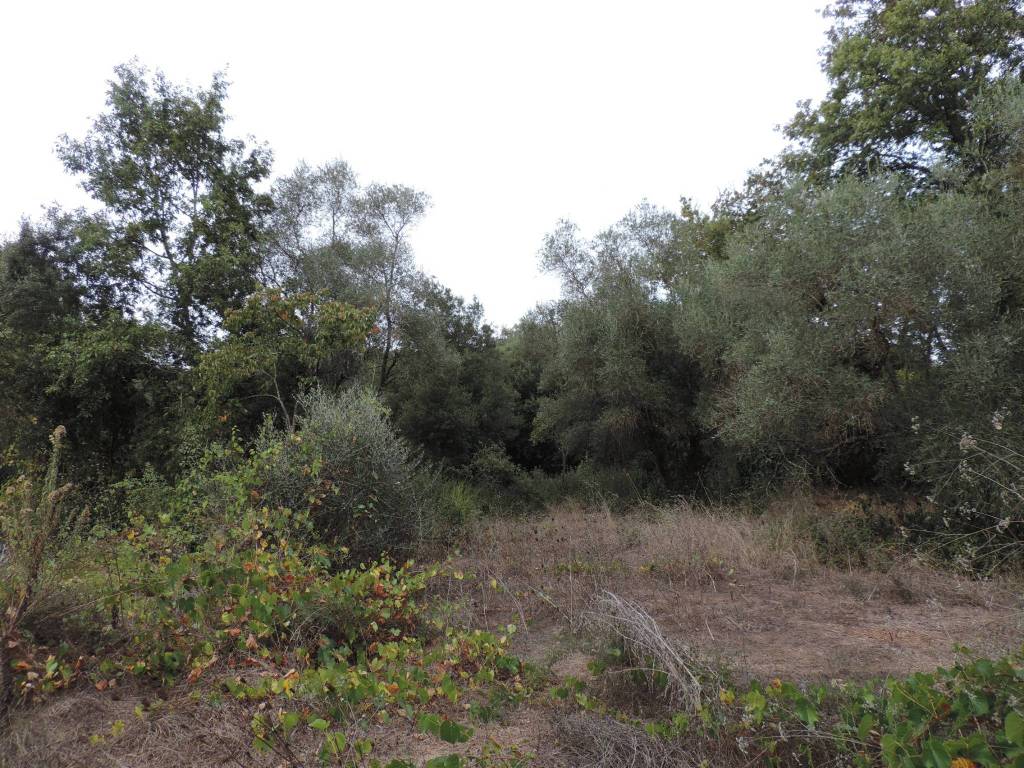Terreno a Fara in sabina in Via Grottaglie - Foto 2