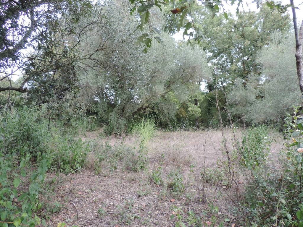 Terreno a Fara in sabina in Via Grottaglie - Foto 3