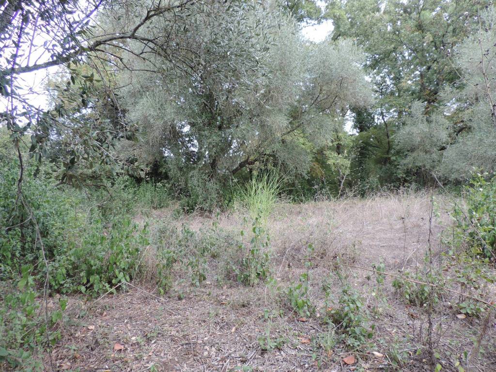 Terreno a Fara in sabina in Via Grottaglie - Foto 4