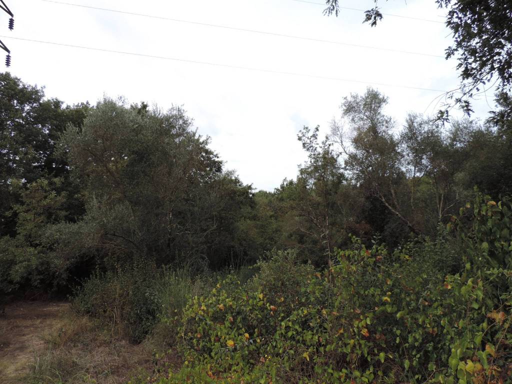 Terreno a Fara in sabina in Via Grottaglie - Foto 5