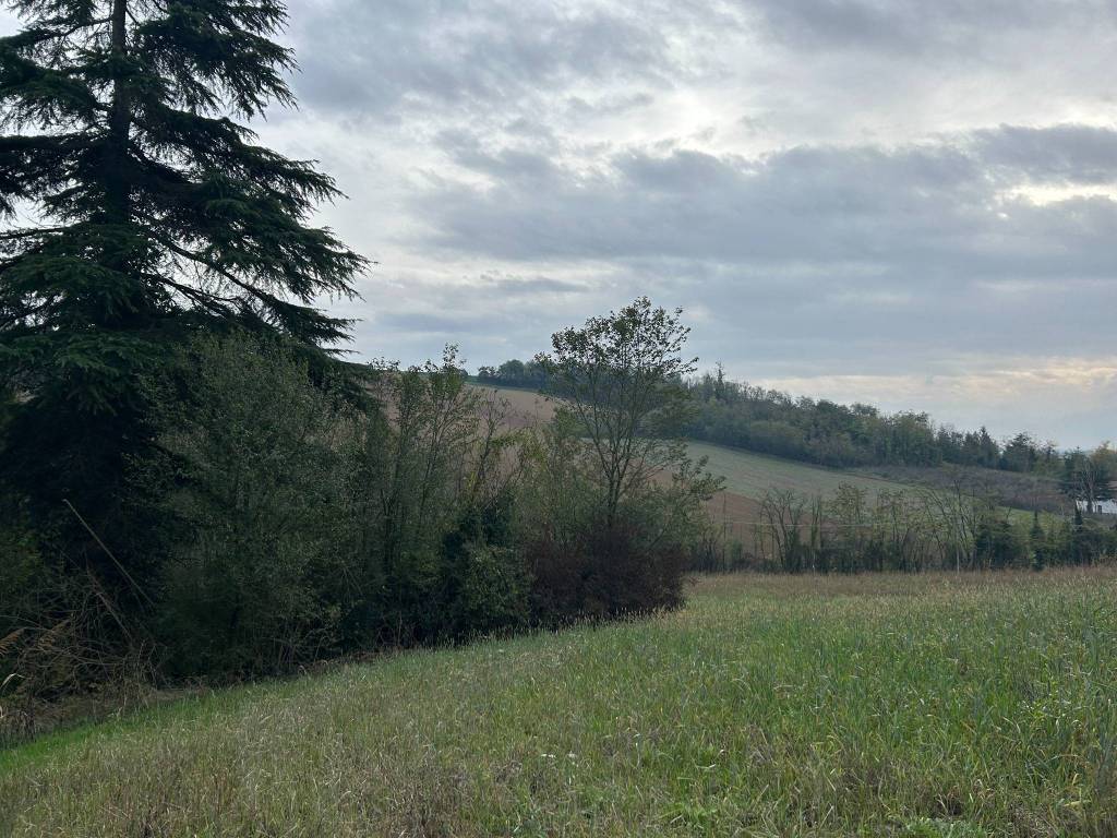 Rustico / casale a Alessandria - Foto 3