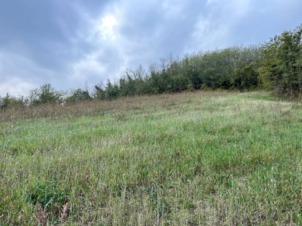 Rustico / casale a Alessandria - Foto 4