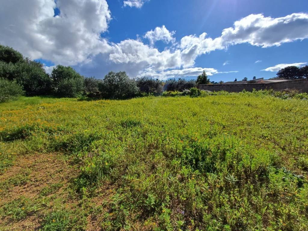 Terreno a Marsala in Contrada Colombaio Lasagna - Foto 3