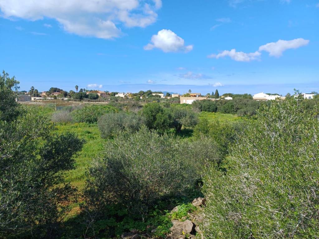 Terreno a Marsala in Contrada Colombaio Lasagna - Foto 4