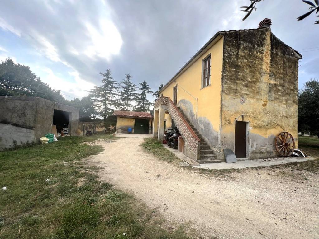 Rustico / casale a Cepagatti in Via Cantò, 30 - Foto 3