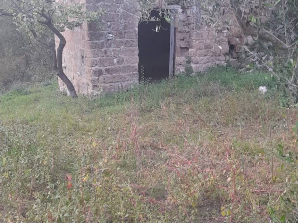 Terreno a Moiano - Foto 2