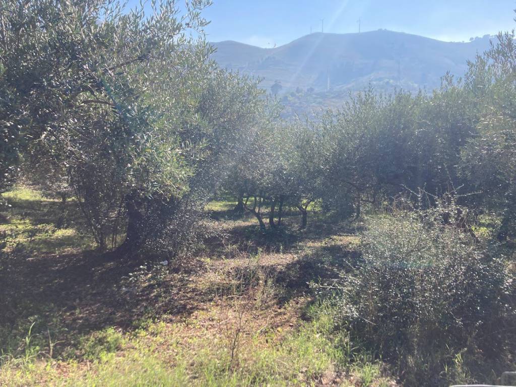 Villa a Belmonte mezzagno in Via Portella della Paglia - Foto 4