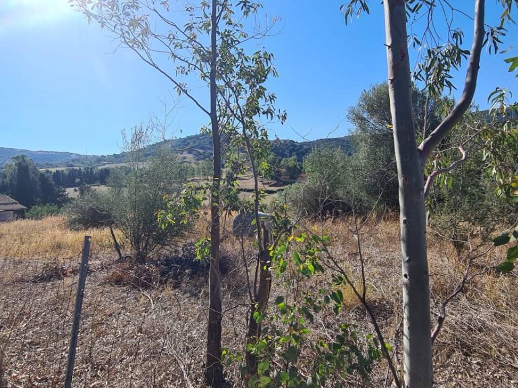 Terreno a Siniscola in SP12 - Foto 5