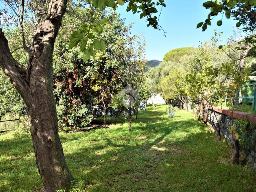 Villa a Varazze in Via Livio Canale, 37 - Foto 5