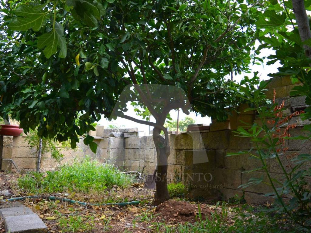 Casa indipendente a Alessano in Contrada Marcurano - Foto 5