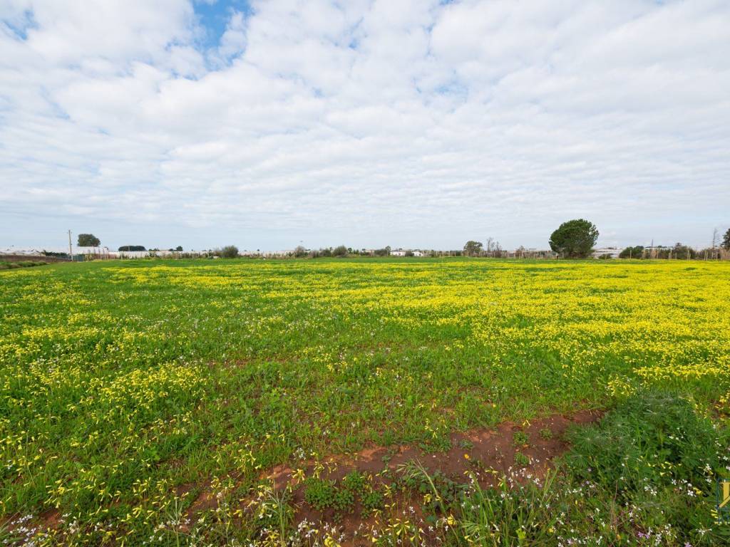 Terreno a Vittoria in strada Comunale, 30 - Foto 5