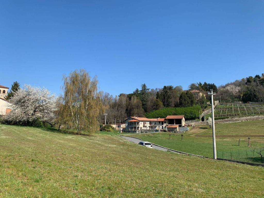 Terreno a Viverone in Strada Provinciale Viverone-Zimone - Foto 4