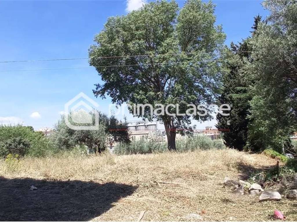Rustico / casale a Modica - Foto 3