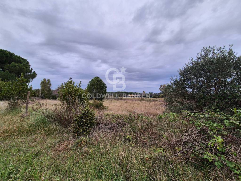 Terreno a Tarquinia in Località San Giorgio - Foto 2