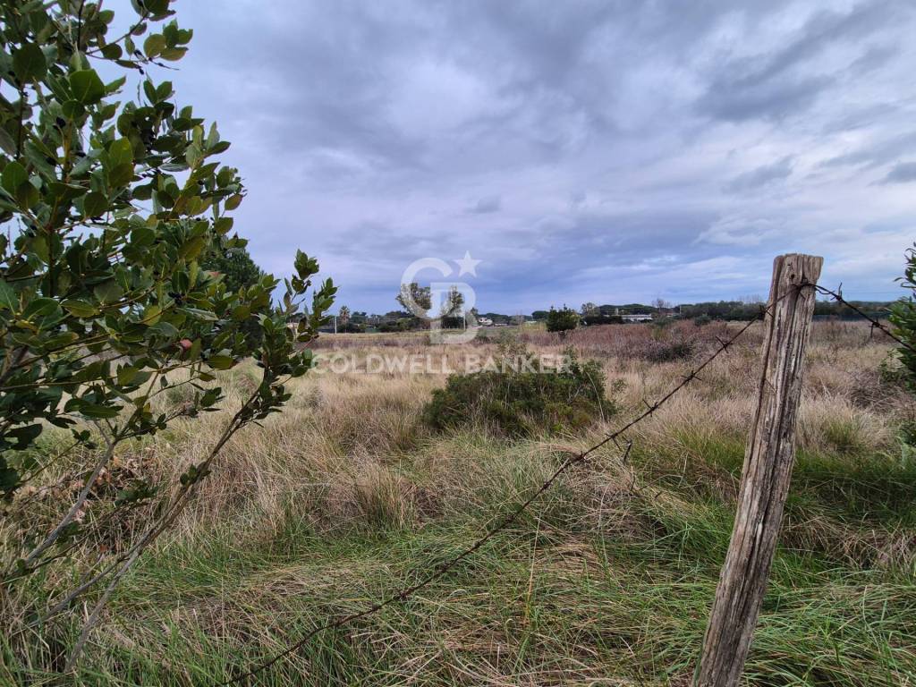 Terreno a Tarquinia in Località San Giorgio - Foto 3