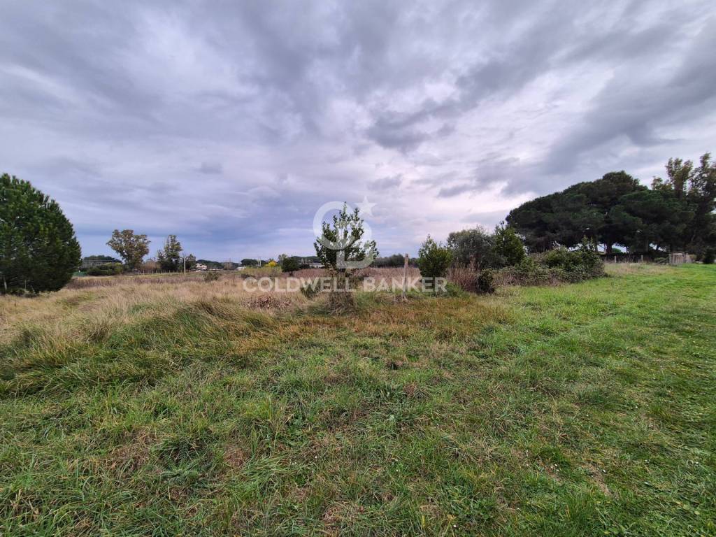 Terreno a Tarquinia in Località San Giorgio - Foto 4