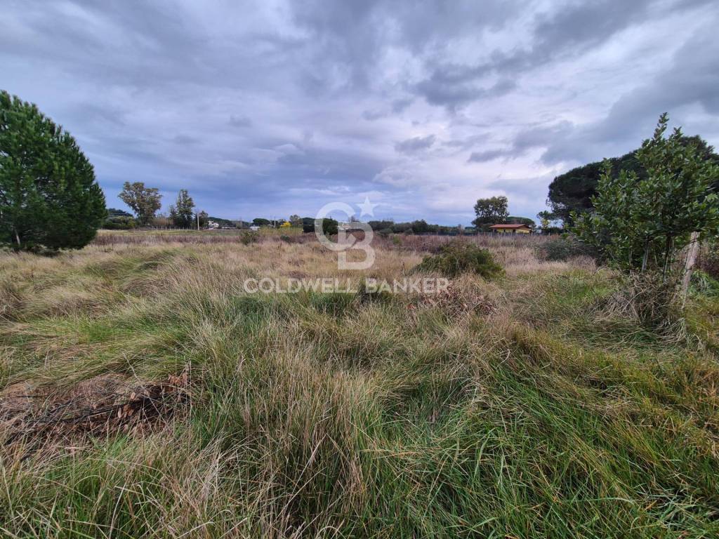 Terreno a Tarquinia in Località San Giorgio - Foto 5