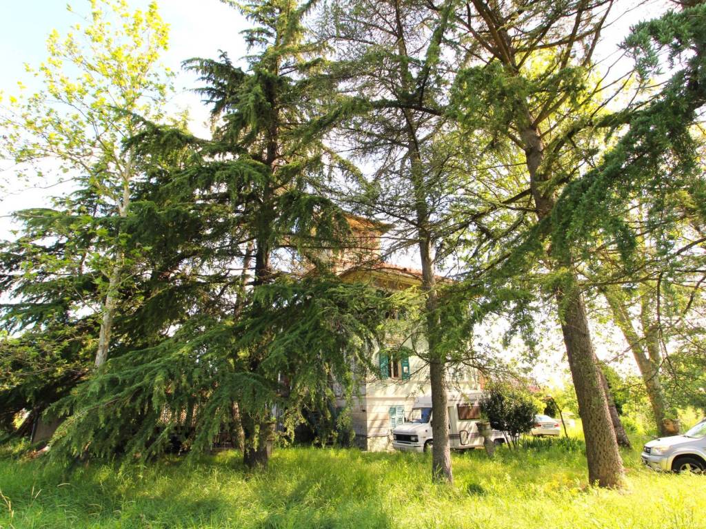 Villa a Ovada - Foto 5