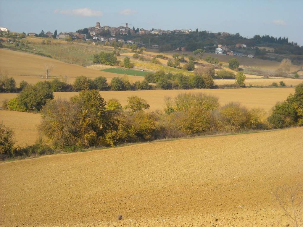 Rustico / casale a Montepulciano in Via Fornace - Foto 2