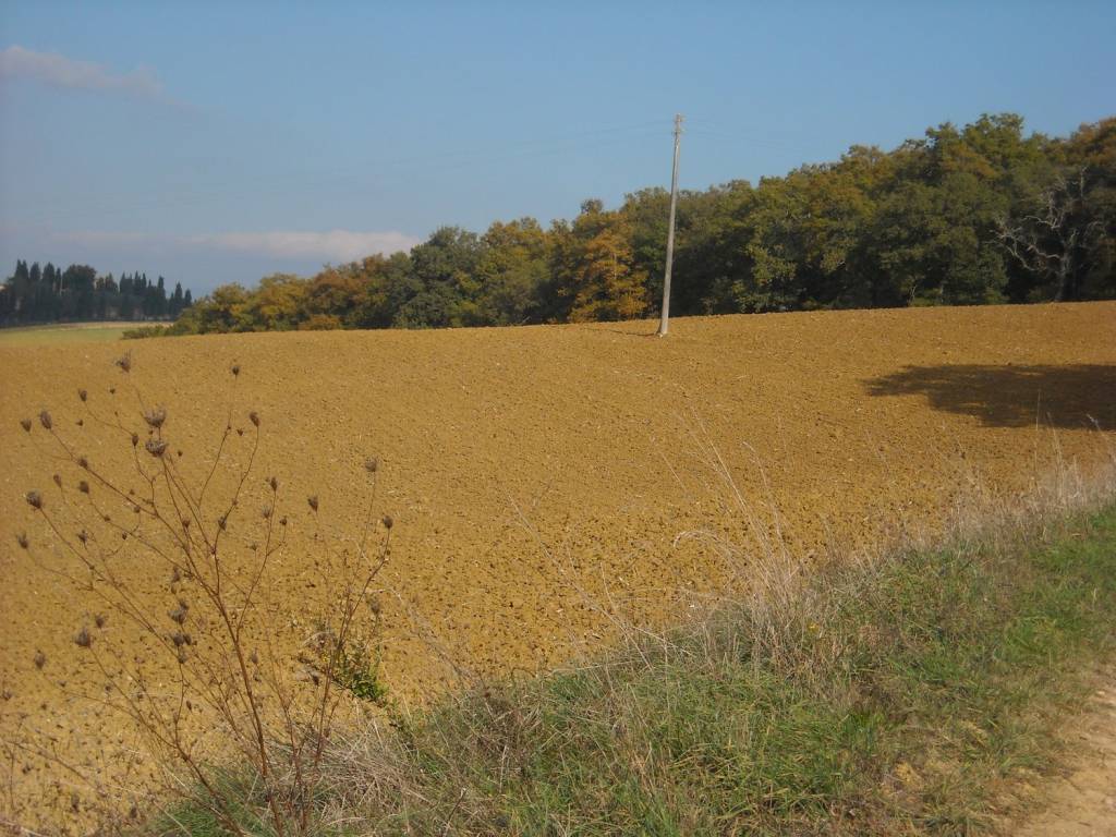 Rustico / casale a Montepulciano in Via Fornace - Foto 3