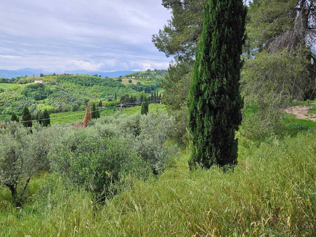 Rustico / casale a Cartoceto - Foto 3