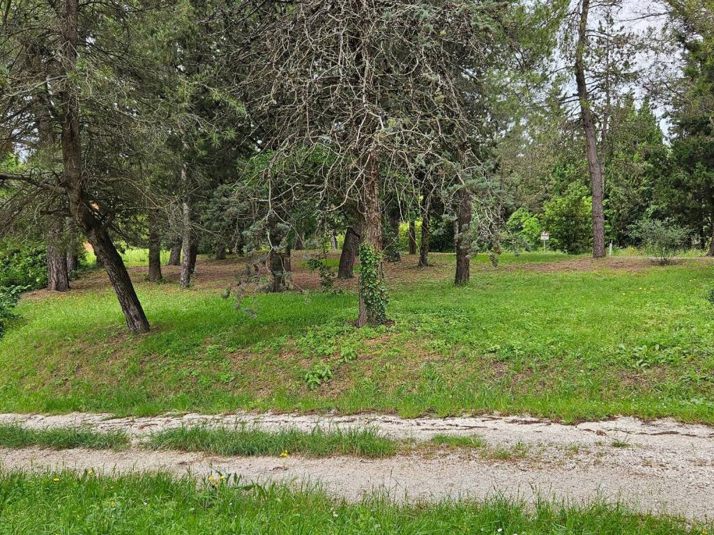 Rustico / casale a Cartoceto - Foto 4