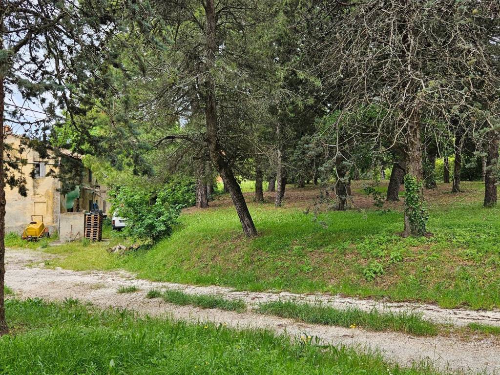 Rustico / casale a Cartoceto - Foto 5