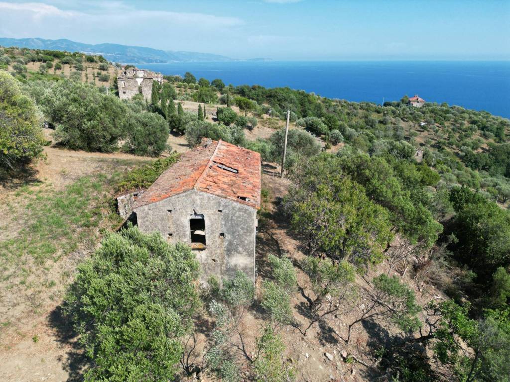 Rustico / casale a Pollica in SS267 - Foto 2