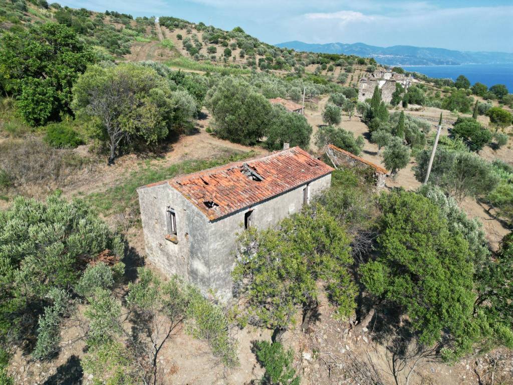 Rustico / casale a Pollica in SS267 - Foto 3