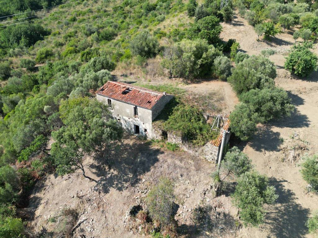 Rustico / casale a Pollica in SS267 - Foto 5