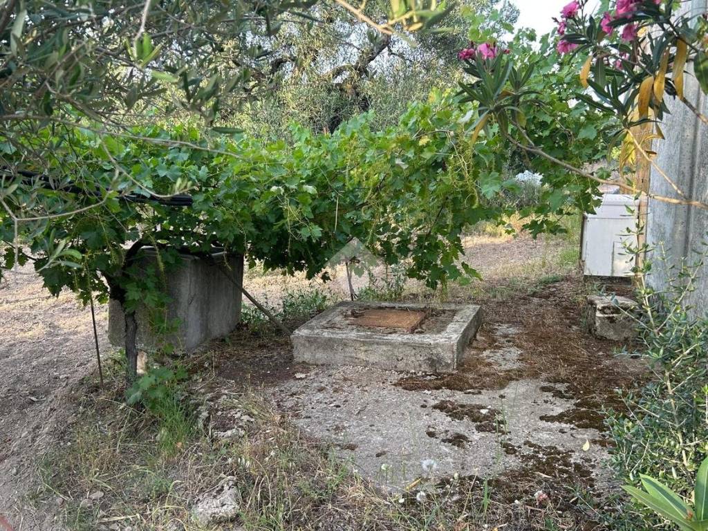 Villa a Barletta in STRADA VICINALE PETRARO - Foto 2