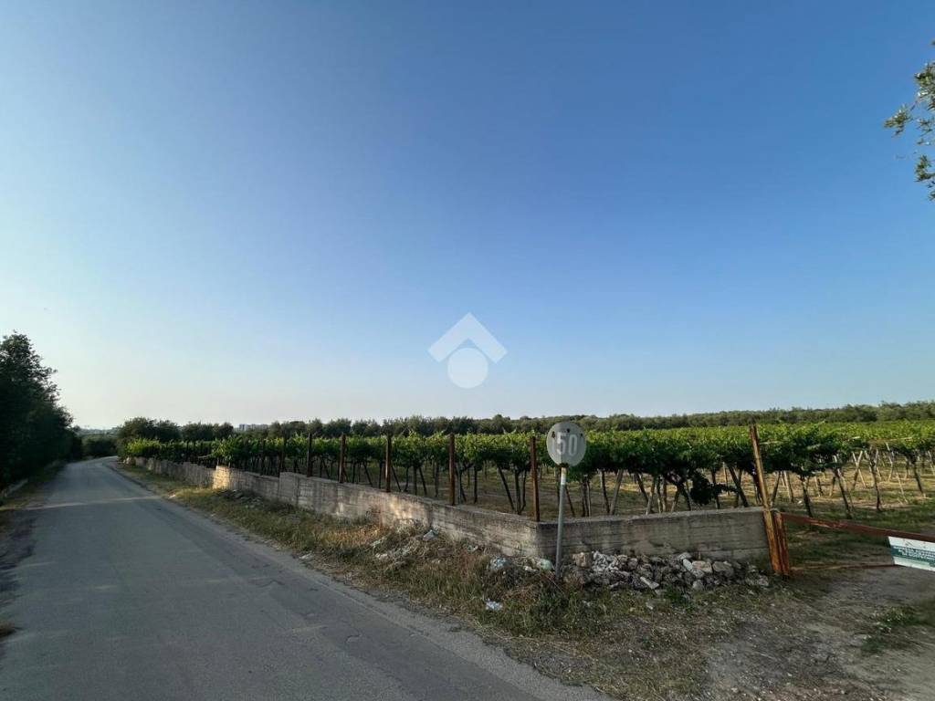 Villa a Barletta in STRADA VICINALE PETRARO - Foto 5