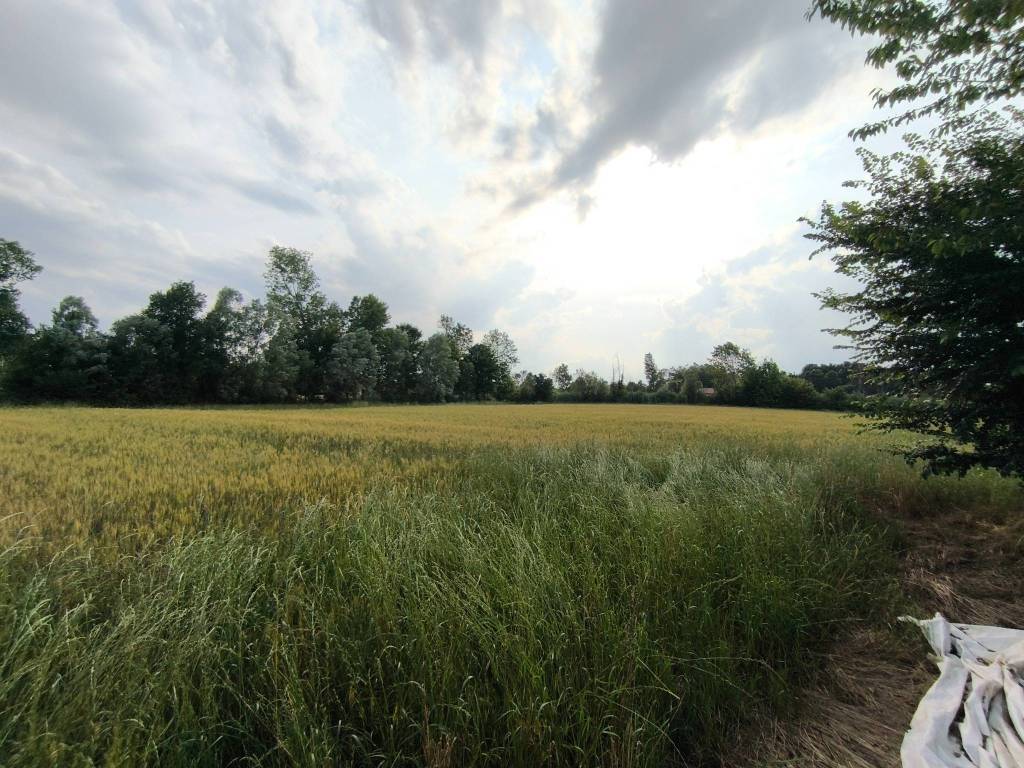 Terreno a Campodarsego in Via Bosco 1 - Foto 3