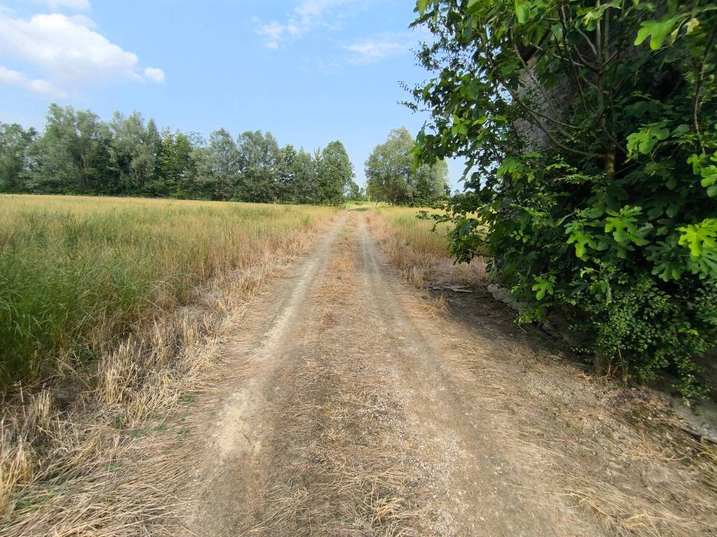 Terreno a Campodarsego in Via Bosco 1 - Foto 4