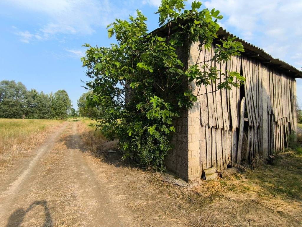 Terreno a Campodarsego in Via Bosco 1 - Foto 5