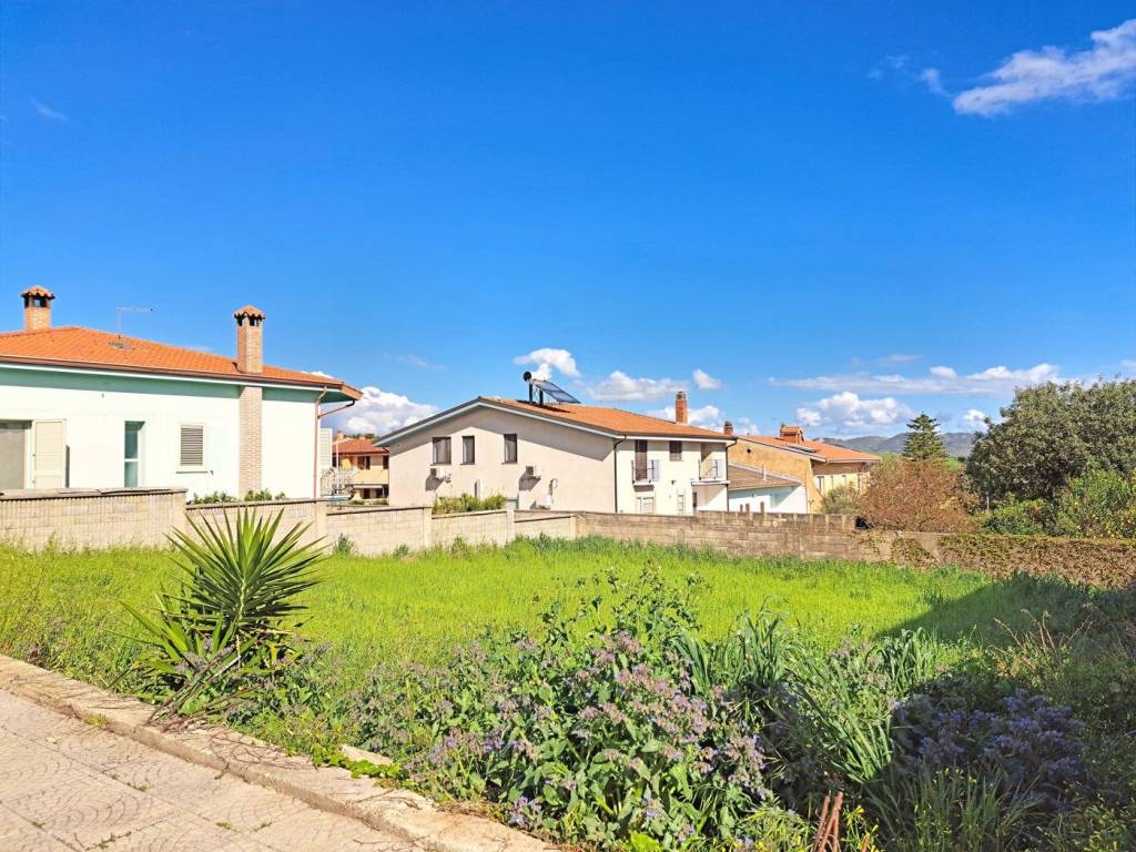 Terreno a Sanluri - Foto 2