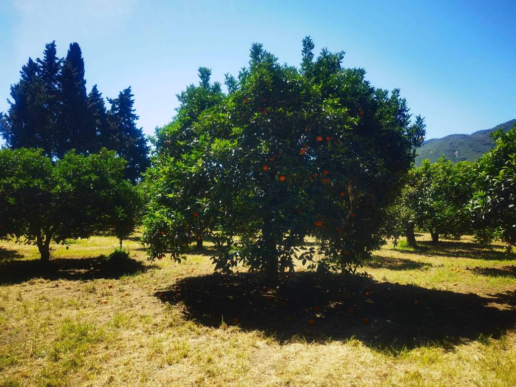 Terreno a Muravera in Via Sarrabus - Foto 2