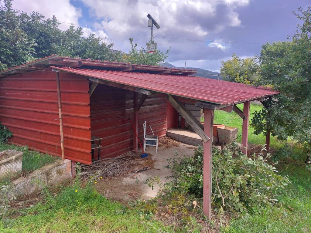 Terreno a Piglio in Contrada Casalotto - Foto 2