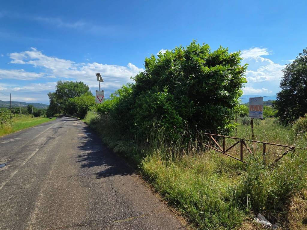 Terreno a Piglio in Contrada Casalotto - Foto 3
