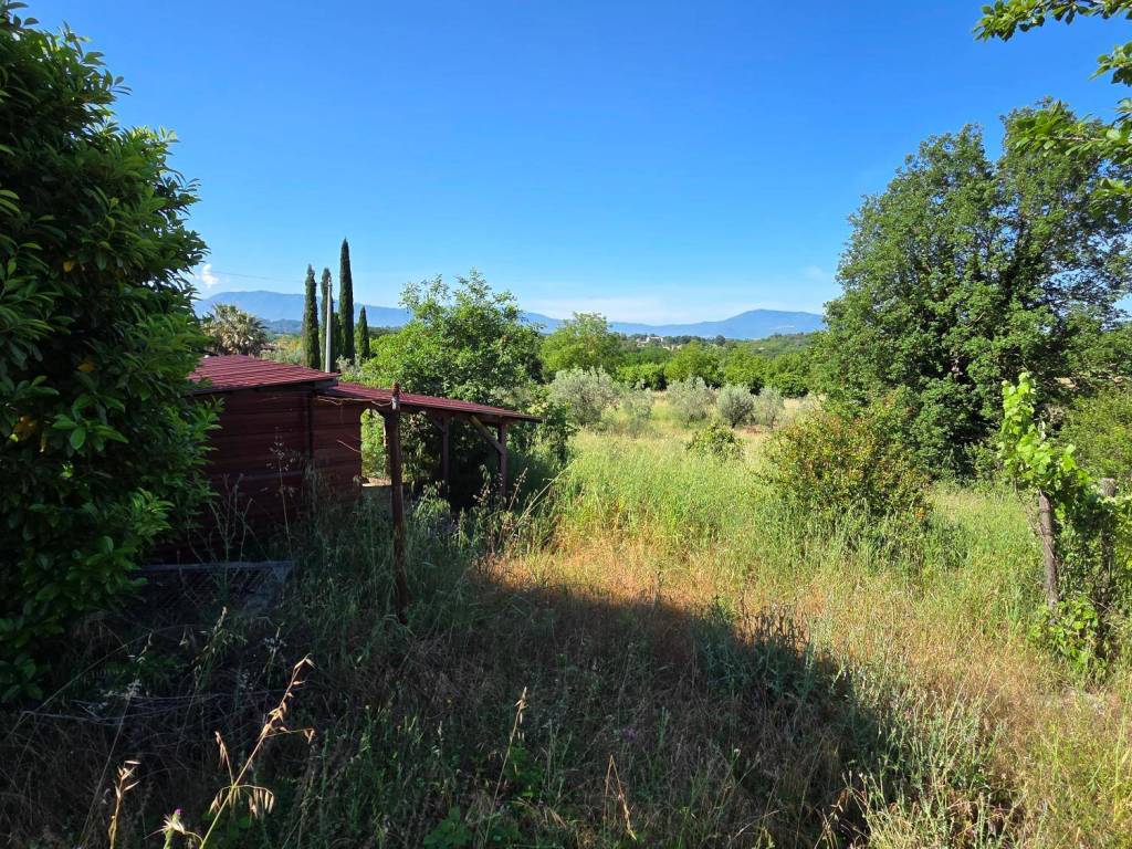 Terreno a Piglio in Contrada Casalotto - Foto 4