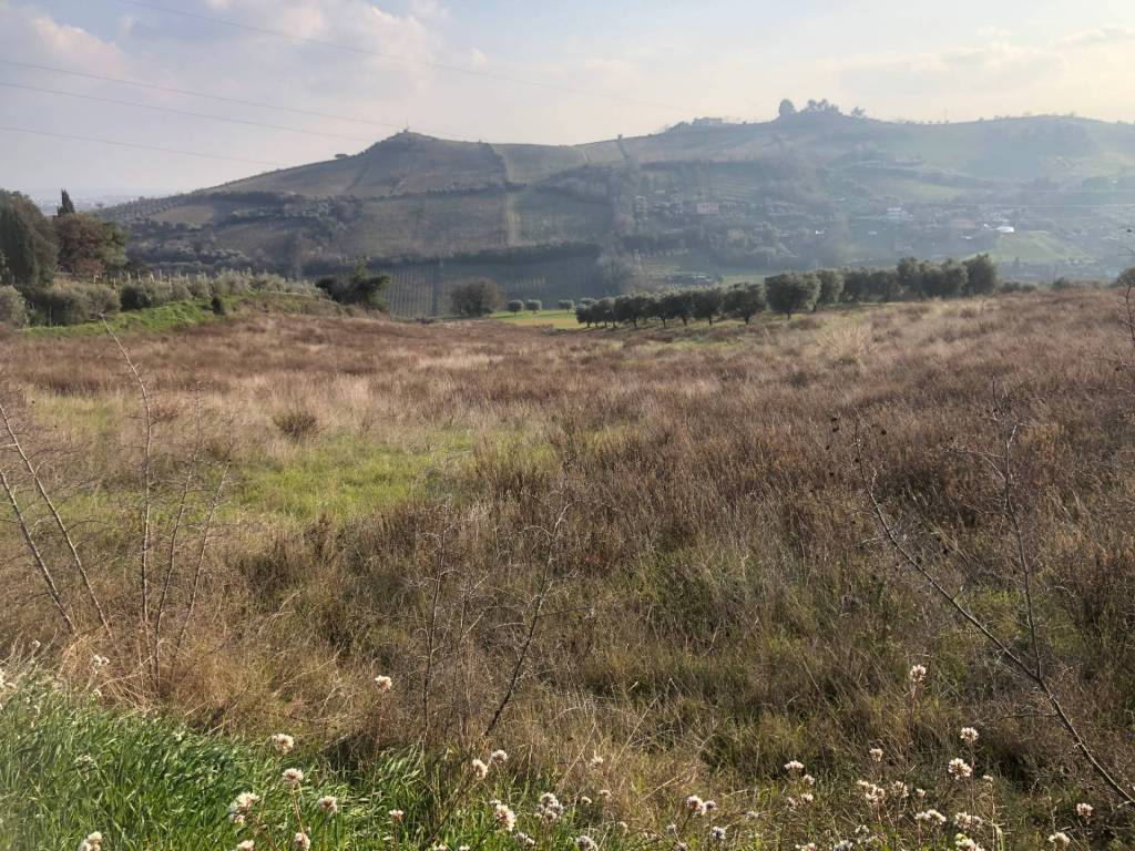 Terreno a San benedetto del tronto in Via Monte Aquilino, 2 - Foto 2