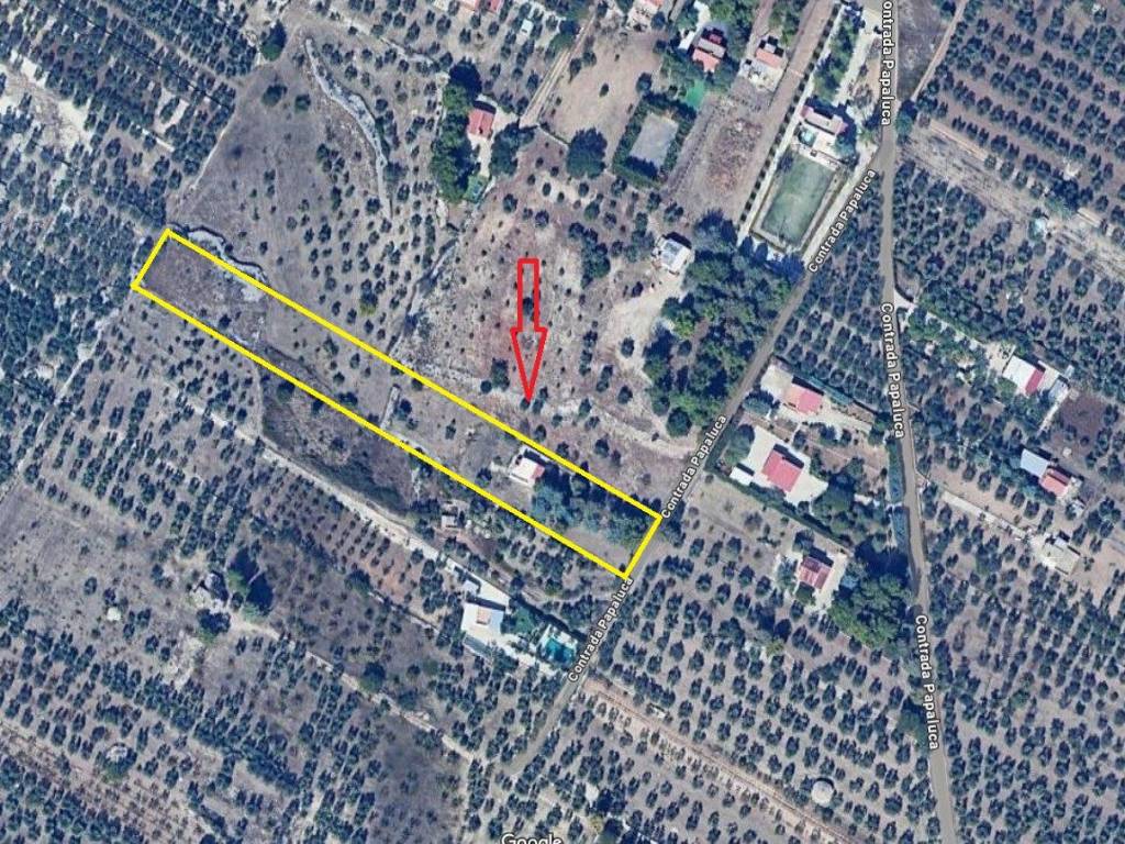 Villa a Andria in Contrada Lama di Carro - Foto 4