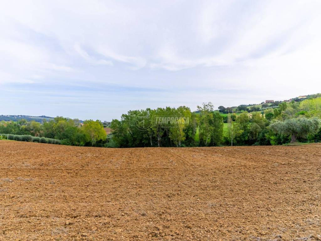 Terreno a Civitanova marche in Contrada San Savino, 60 - Foto 3