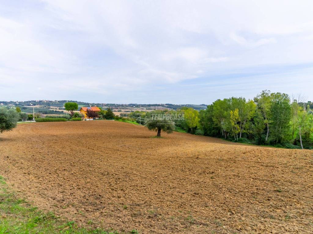 Terreno a Civitanova marche in Contrada San Savino, 60 - Foto 4
