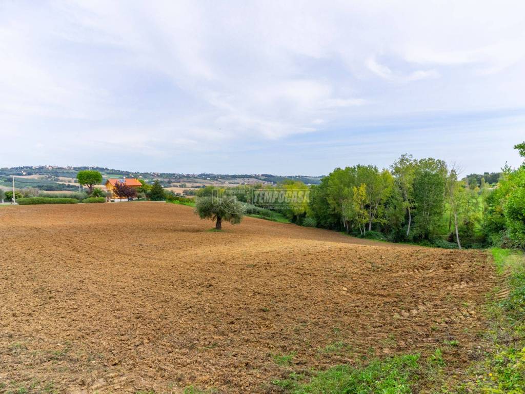 Terreno a Civitanova marche in Contrada San Savino, 60 - Foto 5