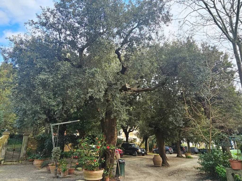 Appartamento a Rosignano marittimo in Via Antonio Gramsci - Foto 3