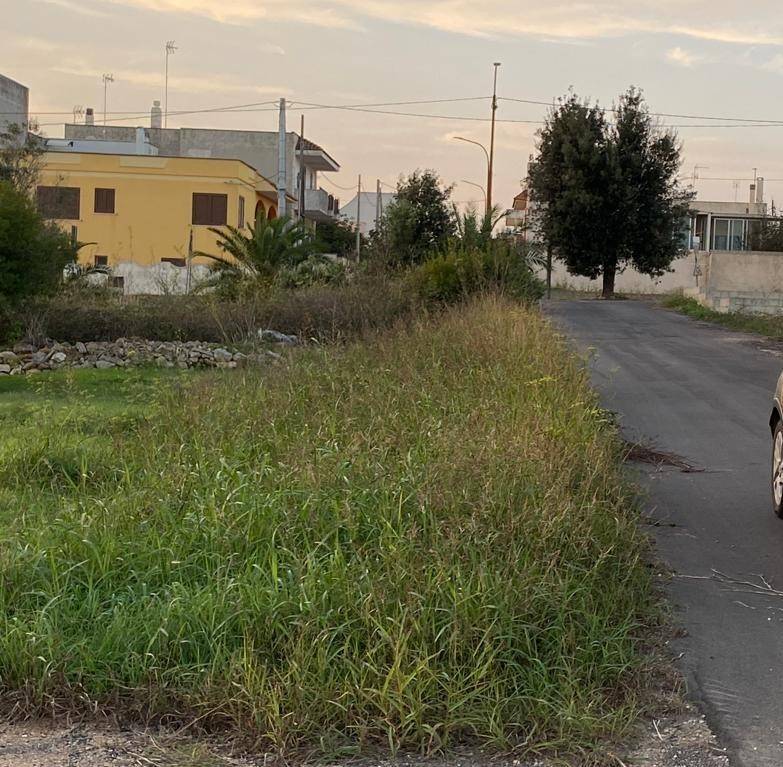 Terreno a Salve in SP351 - Foto 3