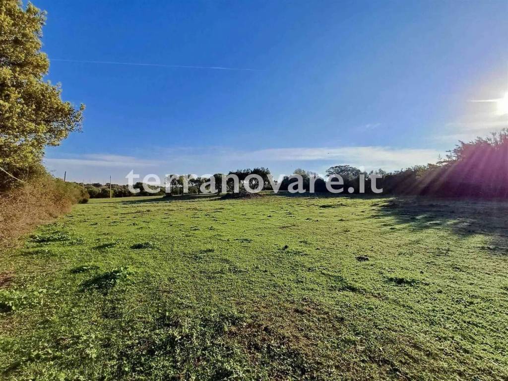 Terreno a Loiri porto san paolo - Foto 2