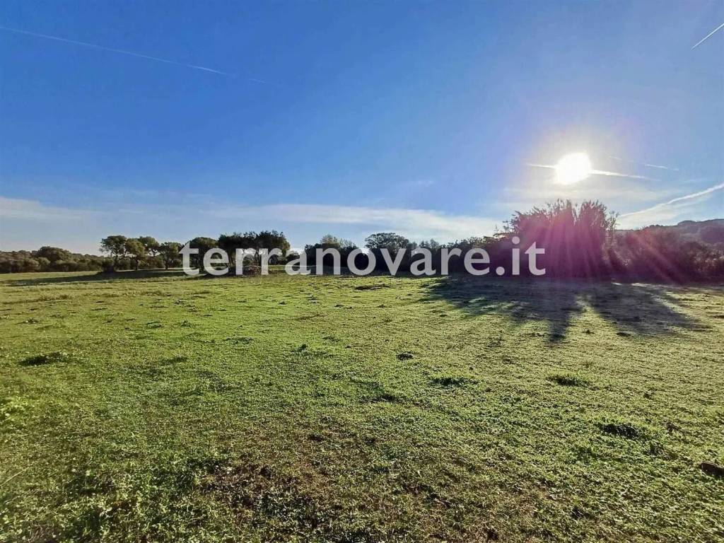 Terreno a Loiri porto san paolo - Foto 3