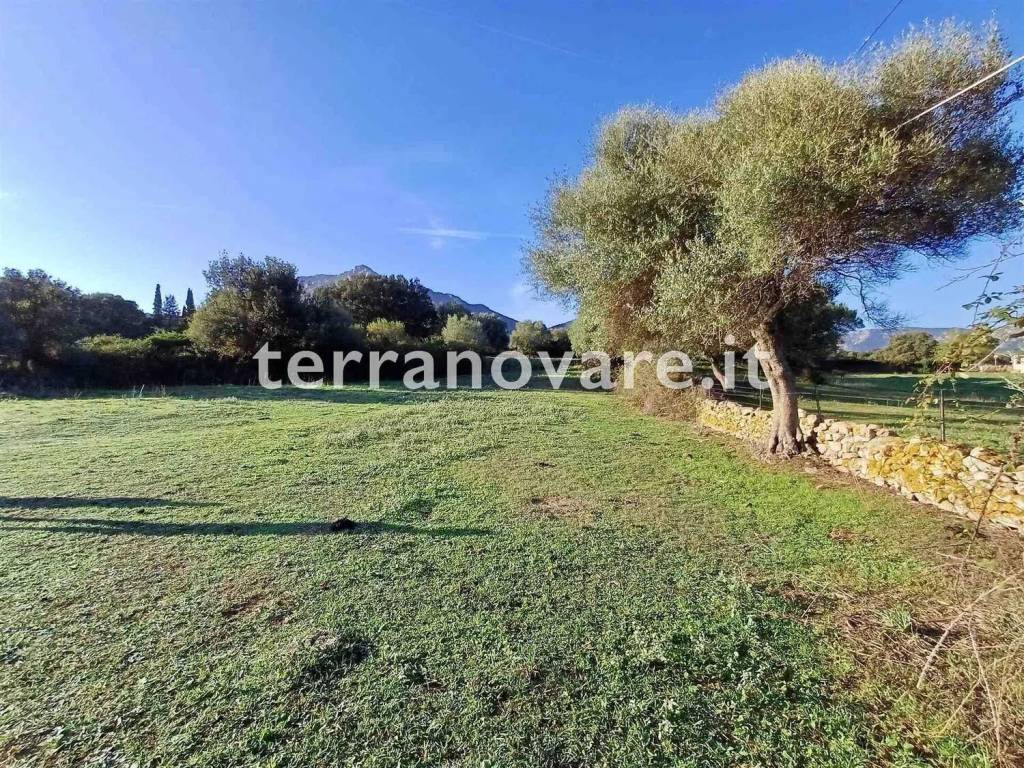 Terreno a Loiri porto san paolo - Foto 4